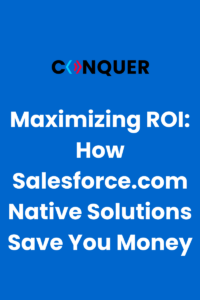 Salesforce.com Native Solutions: Maximize ROI for CFOs